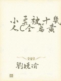 小柔被十几个男人C全篇黄封面