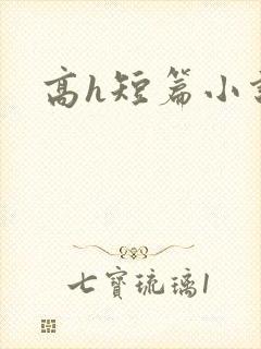 高h短篇小说封面
