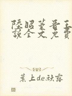 陆昭菱晋王的小说全文免费阅读