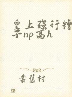 皇上强行糟蹋太子np高h