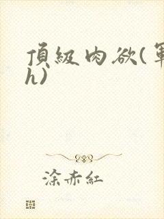 顶级肉欲(军高h)封面