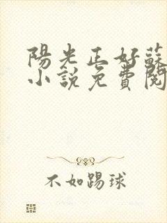 阳光正好苏玥玥小说免费阅读无弹窗