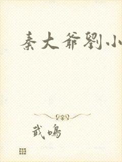 秦大爷刘小静