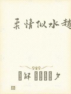 柔情似水赵雅儿封面