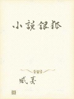 小说银狐封面