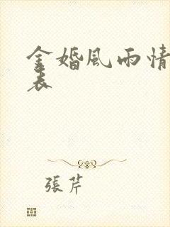 金婚风雨情演员表封面