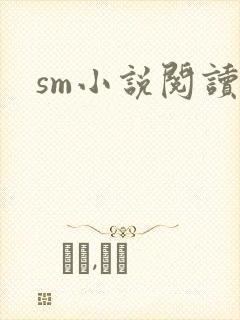 sm小说阅读