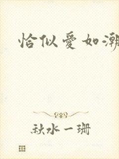 恰似爱如潮封面