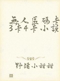 无人区码卡二卡3卡4卡小说