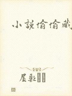 小说偷偷藏不住