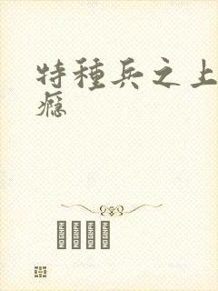 特种兵之上你成瘾封面