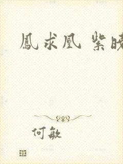凤求凰 紫晓封面