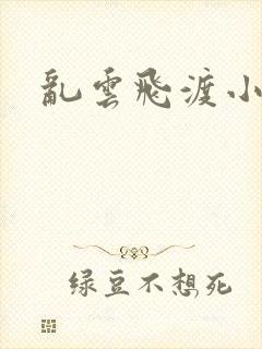 乱云飞渡小说