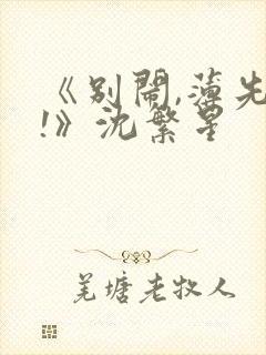 《别闹,薄先生!》沈繁星