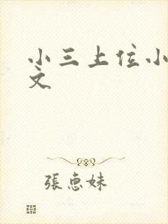 小三上位小说全文封面