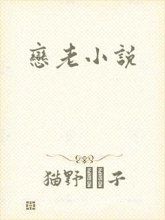 恋老小说