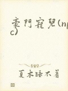 豪门宠儿(npc)