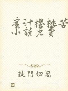 蜜汁樱桃苦咖啡小说免费封面