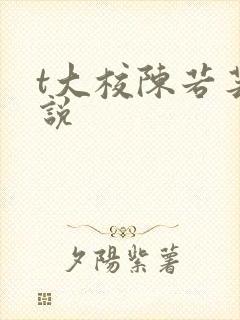 t大校陈若芸小说