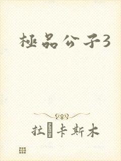 极品公子3