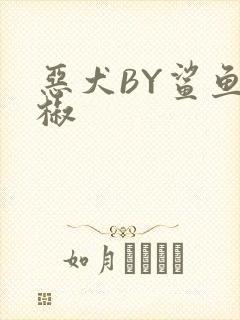 恶犬BY鲨鱼辣椒