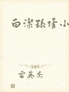 白洁孙倩小说封面