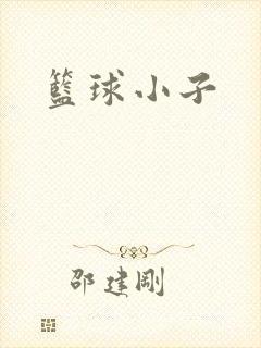 篮球小子