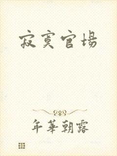 寂寞官场