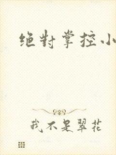 绝对掌控小说