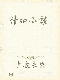 情se小说封面