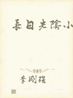 长日光阴小说