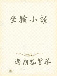 坐脸小说