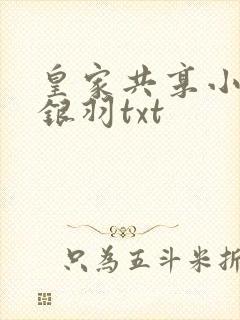 皇家共享小公主银羽txt封面