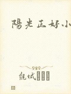 阳光正好小说