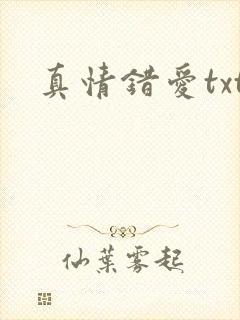 真情错爱txt