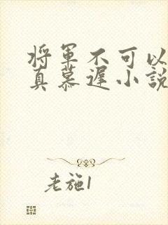 将军不可以魏云真慕迟小说笔趣阁
