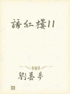 诱红楼11封面