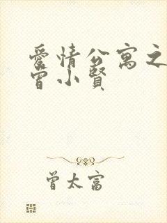 爱情公寓之极品曾小贤