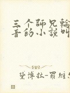 三个师兄轮流上音的小说叫什么