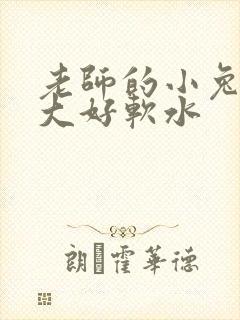 老师的小兔子好大好软水
