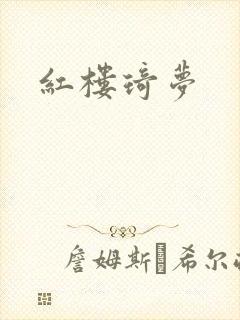 红楼琦梦