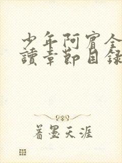少年阿宾全文阅读章节目录