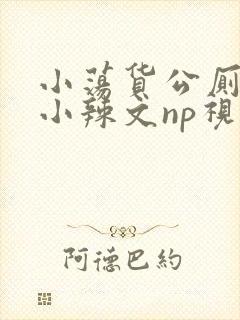 小荡货公厕h文小辣文np视频封面