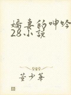 娇妻的呻吟1—28小说