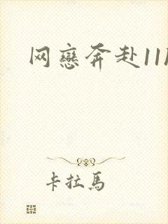 网恋奔赴11h