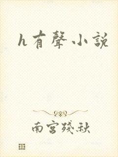 h有声小说