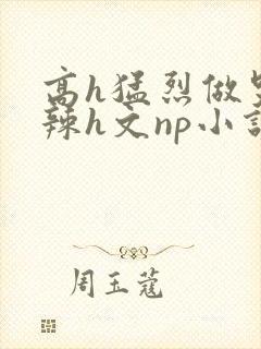 高h猛烈做哭高辣h文np小说