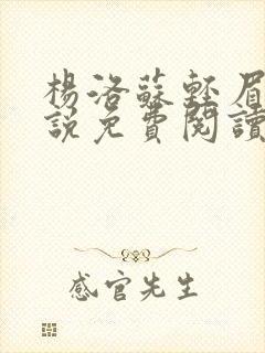 杨洛苏轻眉笔小说免费阅读