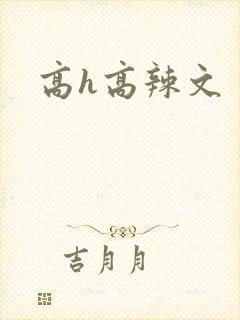 高h高辣文
