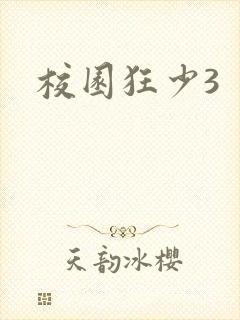 校园狂少3